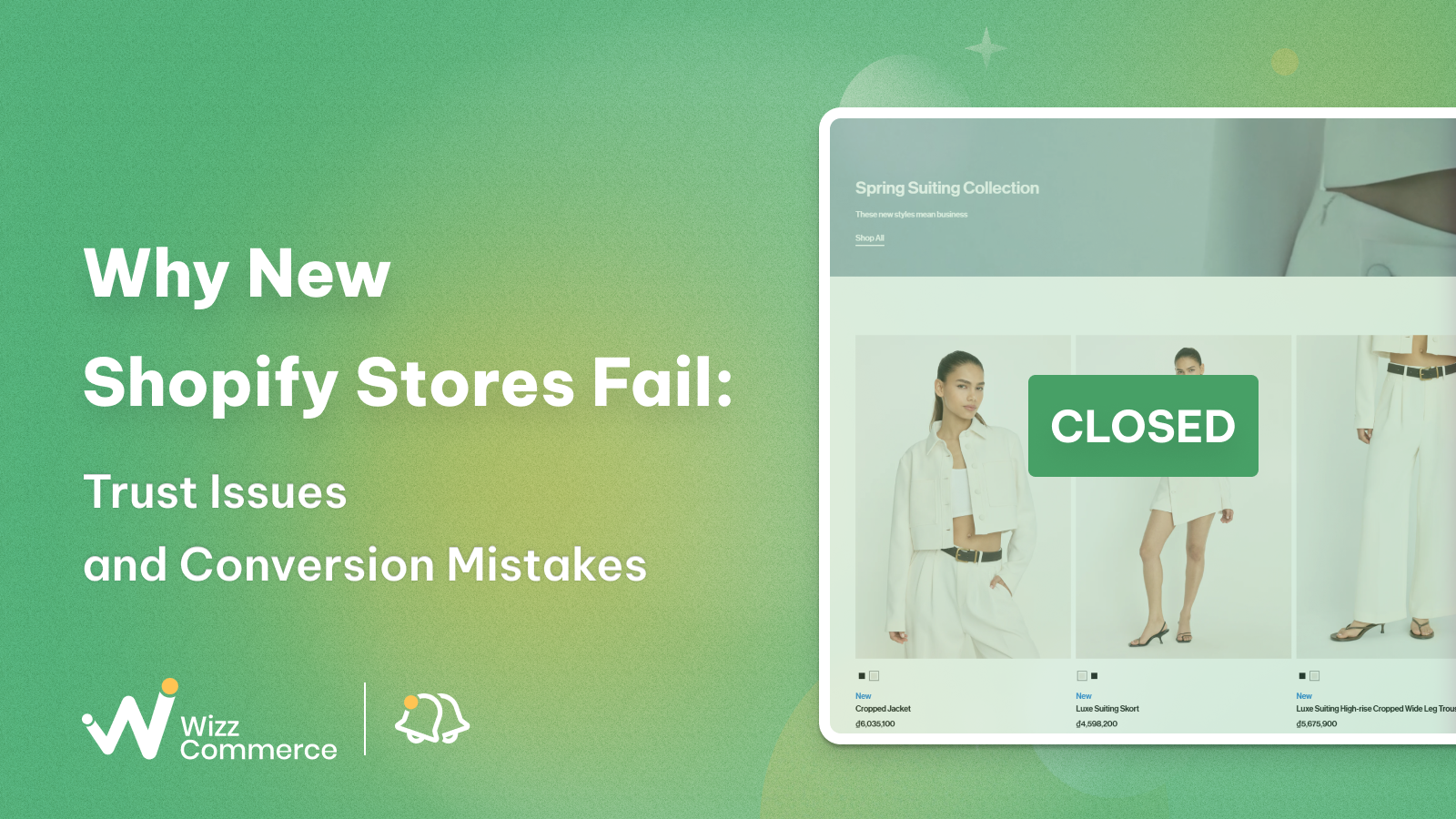 new shopify stores fail